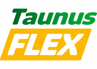 Favicon TaunusFlex