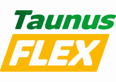 Favicon TaunusFlex